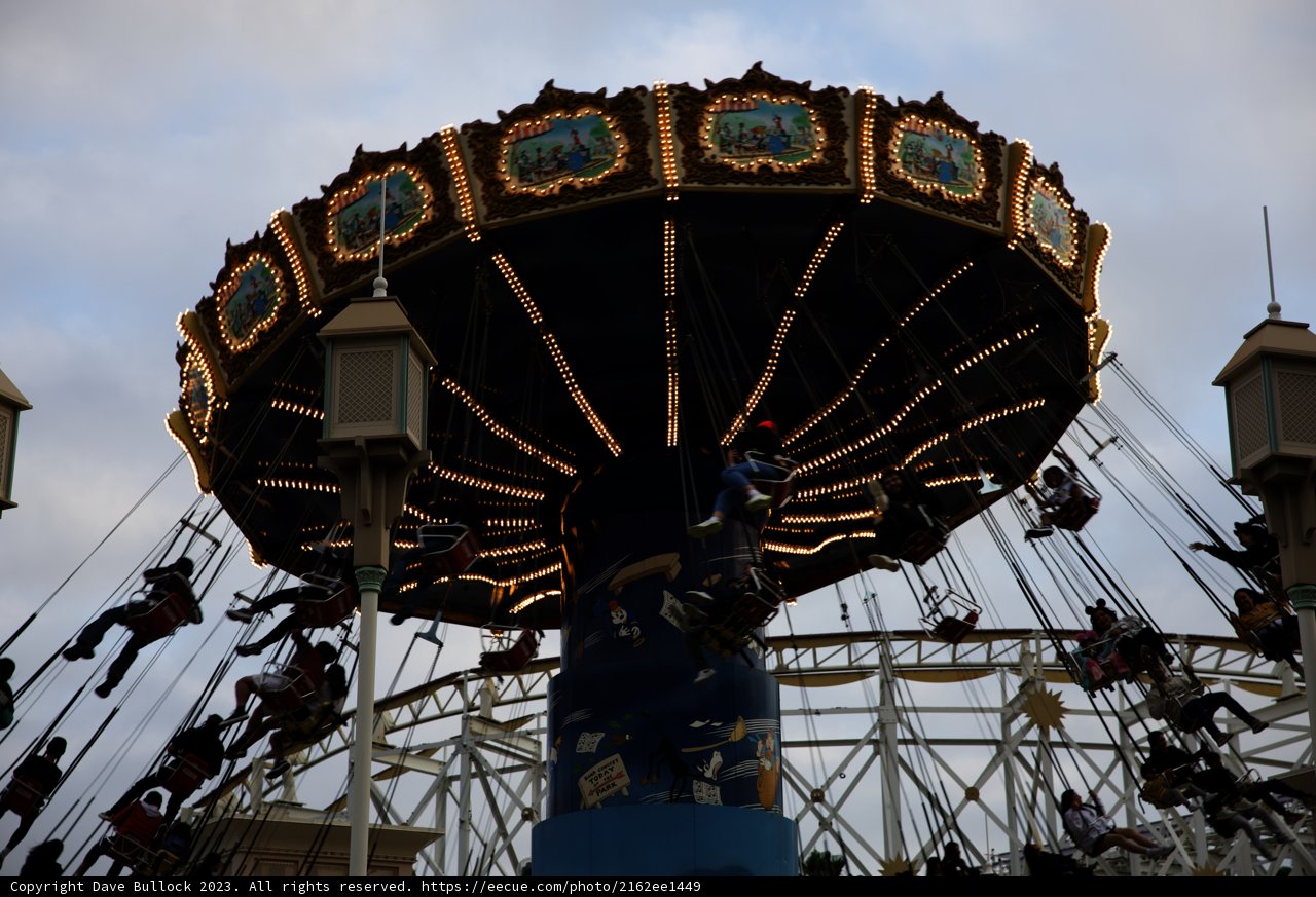 Magical Moments on the Disneyland Carousel
