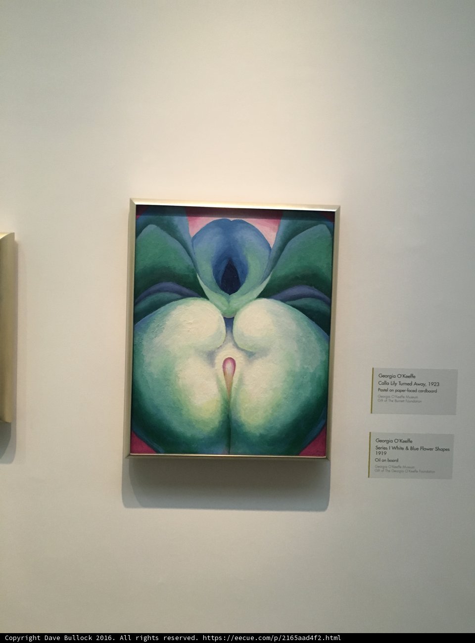 Paintings on Display at Georgia O'Keeffe Museum