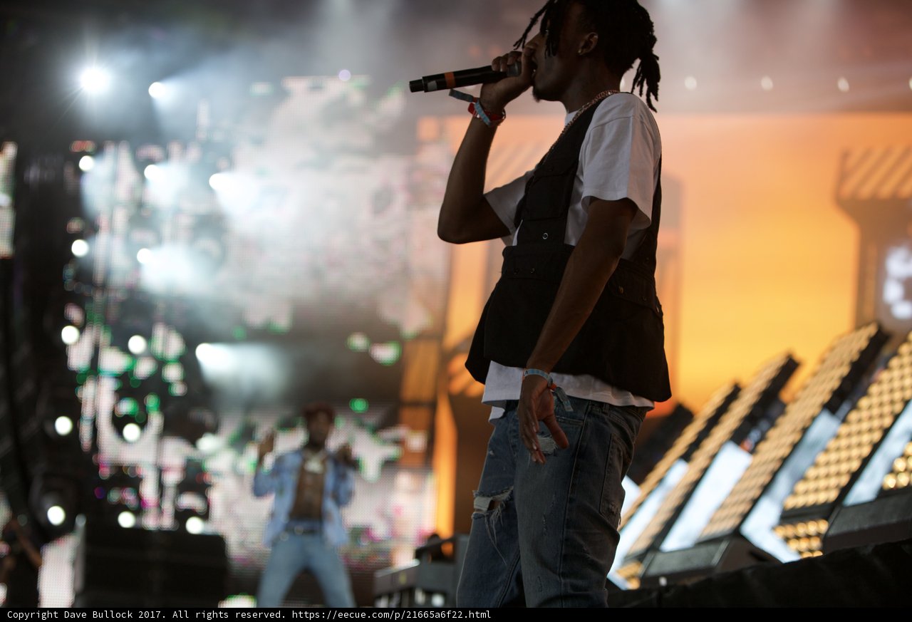 The Dreadlocked Singer