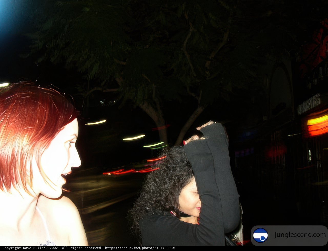 Nighttime Encounter