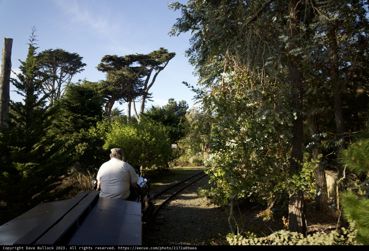 Enchanted Forest Train Journey
