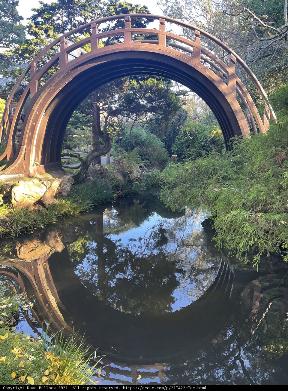 Serene Bridge over a Picturesque Pond