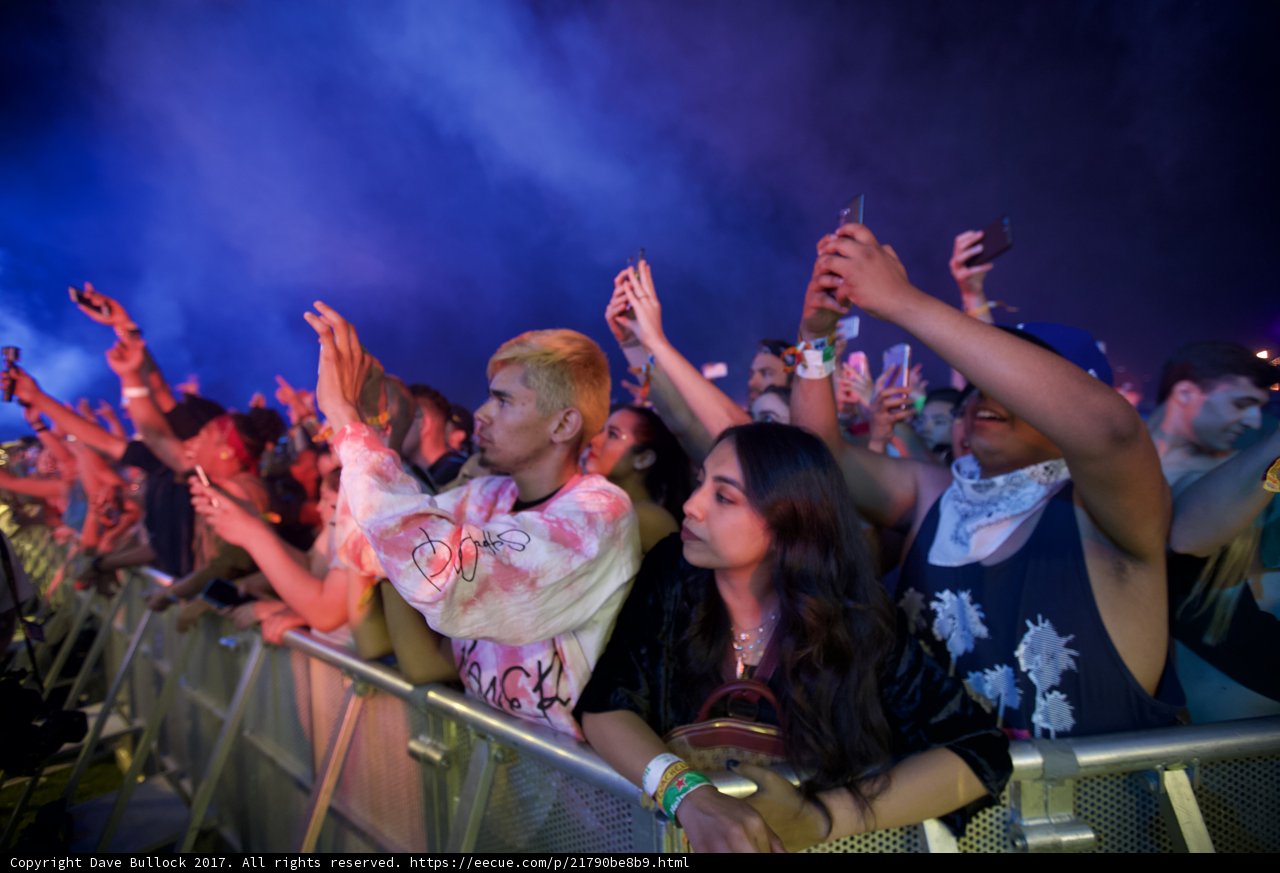 Snap Happy Festivalgoers