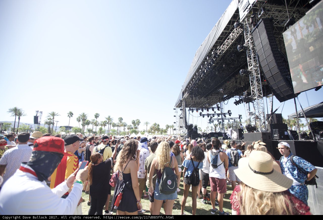 In the Crowd at Coachella