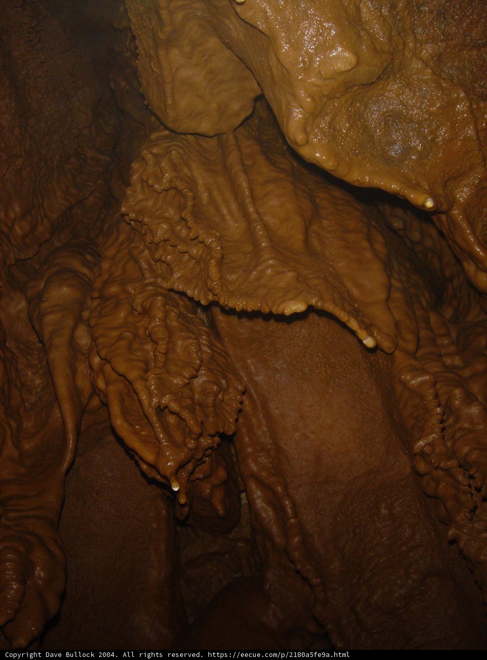 Inside the Cave