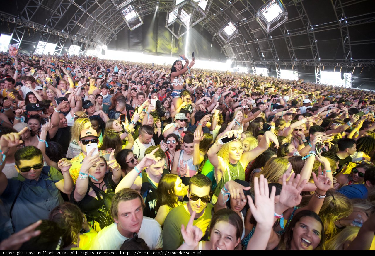 Electric Nights at Coachella 2016