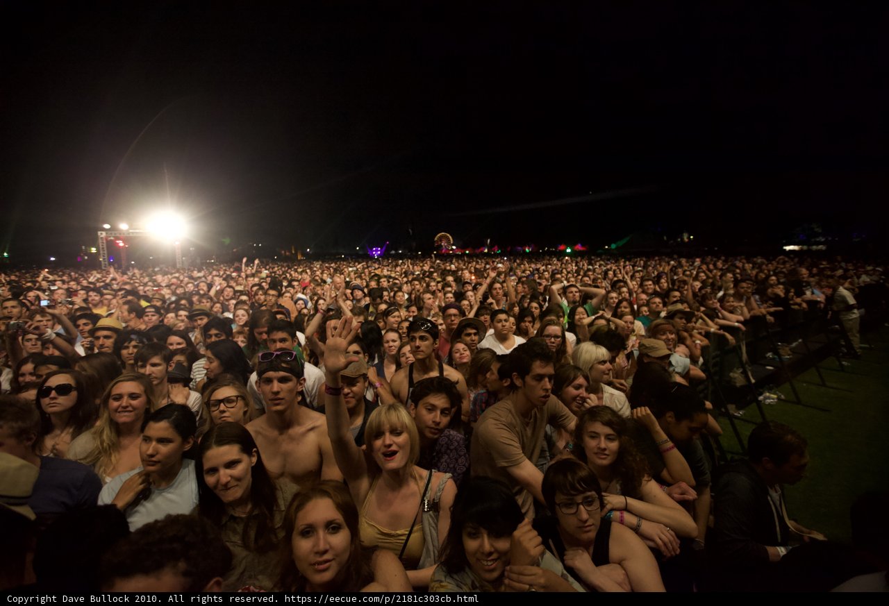 Night Sky Concert Crowd