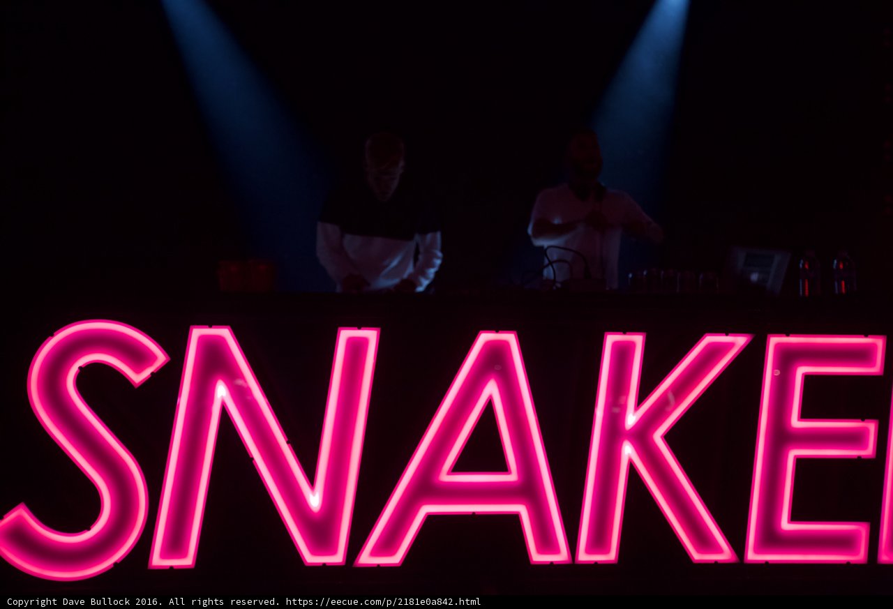 Snake Sign at Night