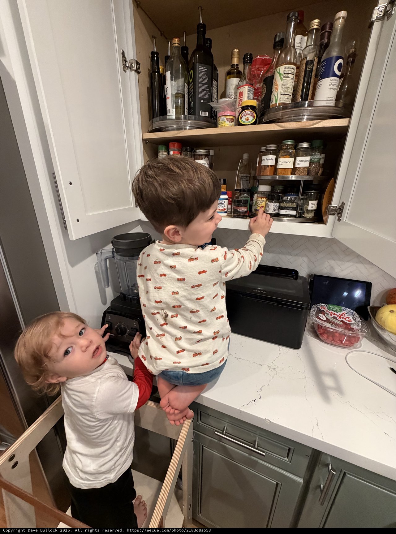 Two Young Brothers Exploring Kitchen Pantry Together