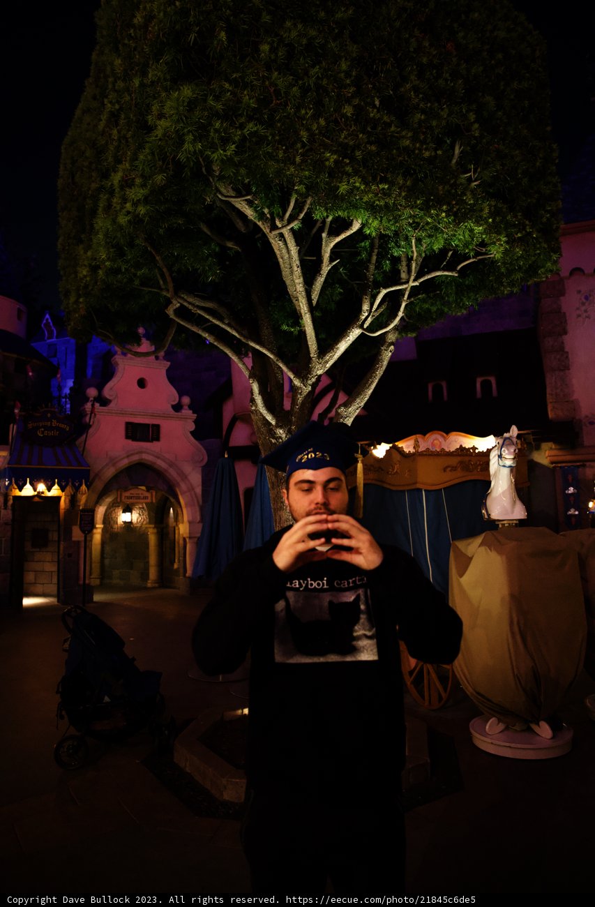 Tree-mendous Selfie Adventure