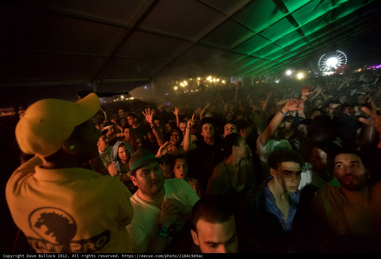 Yellow-Shirted Man in the Midst of the Coachella Crowd