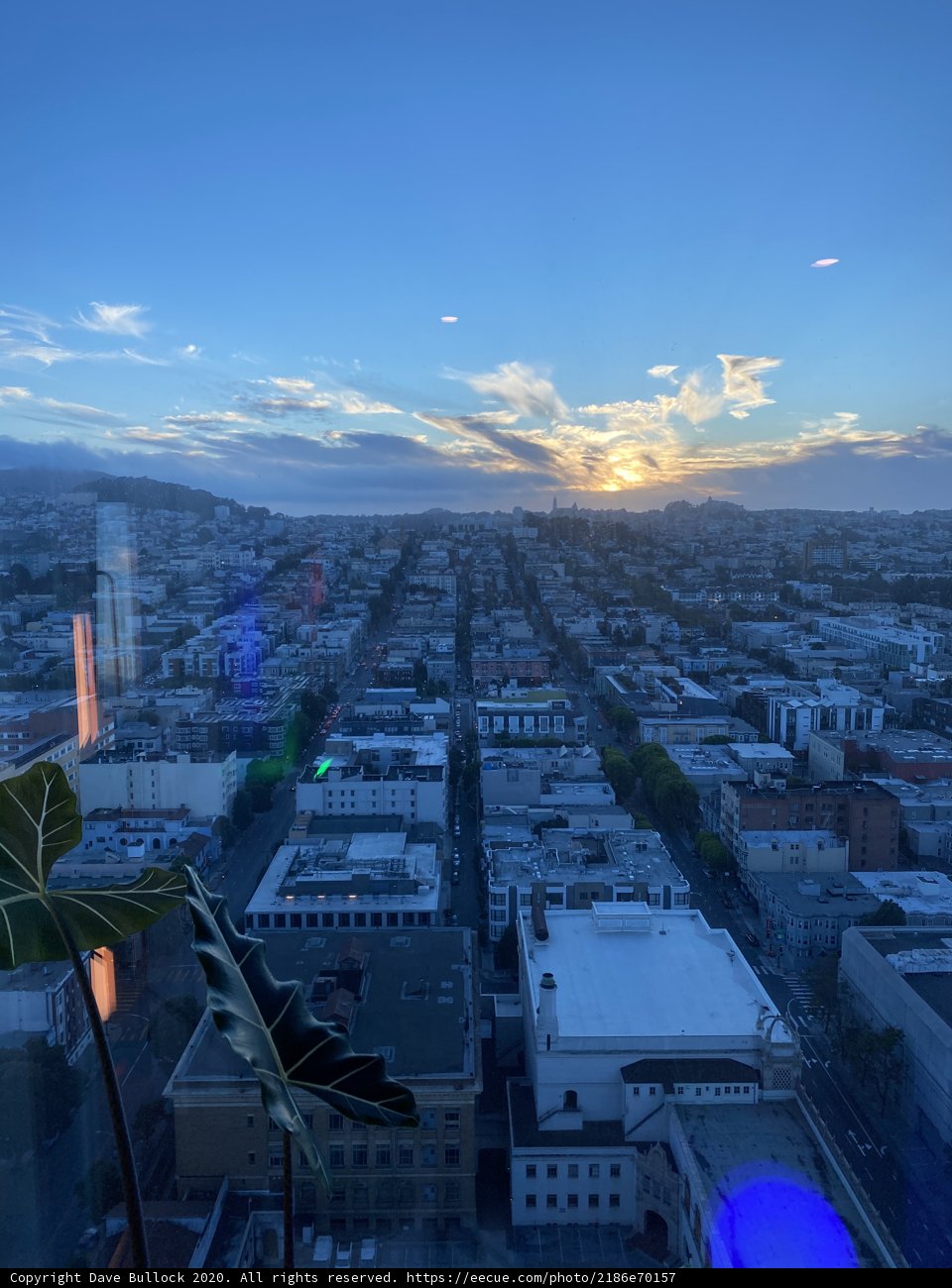 City Dreams