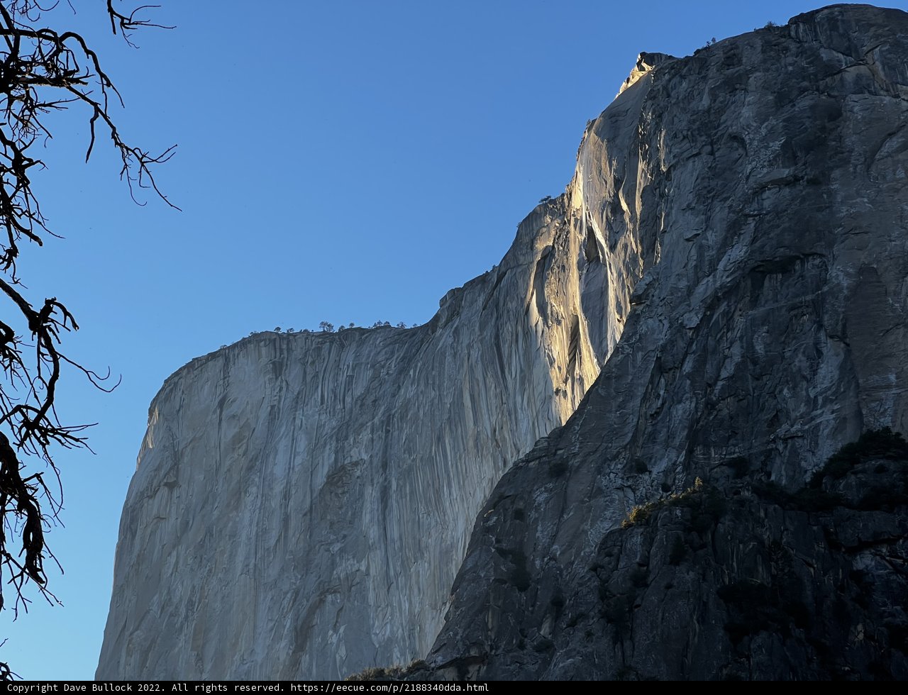 Cliffside Vista in Yosemite