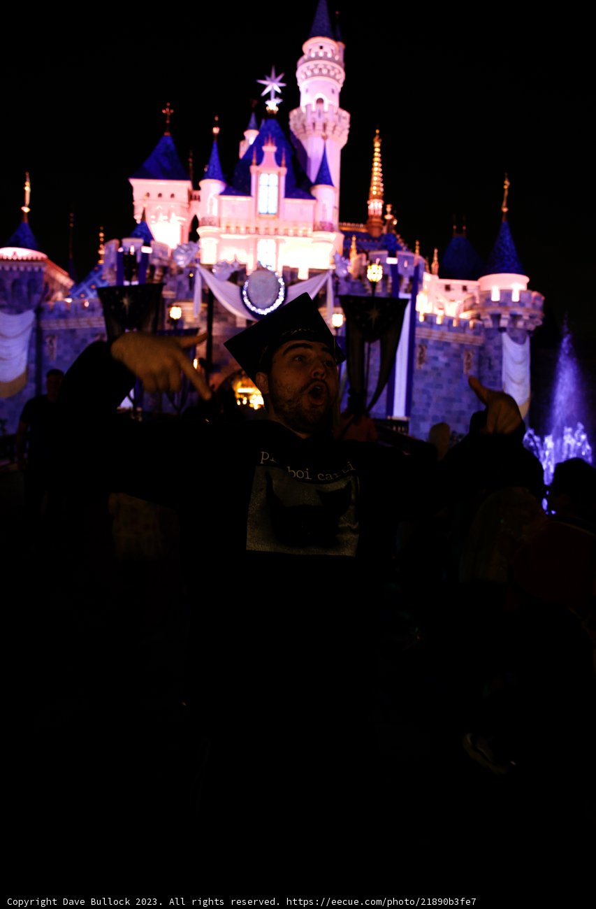 Enchanting Night at Disneyland