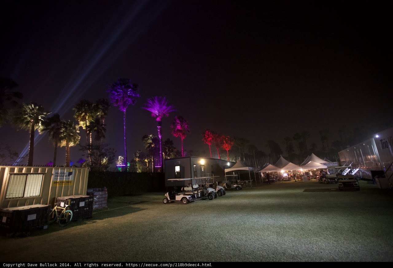 Night Lights in the Desert Oasis
