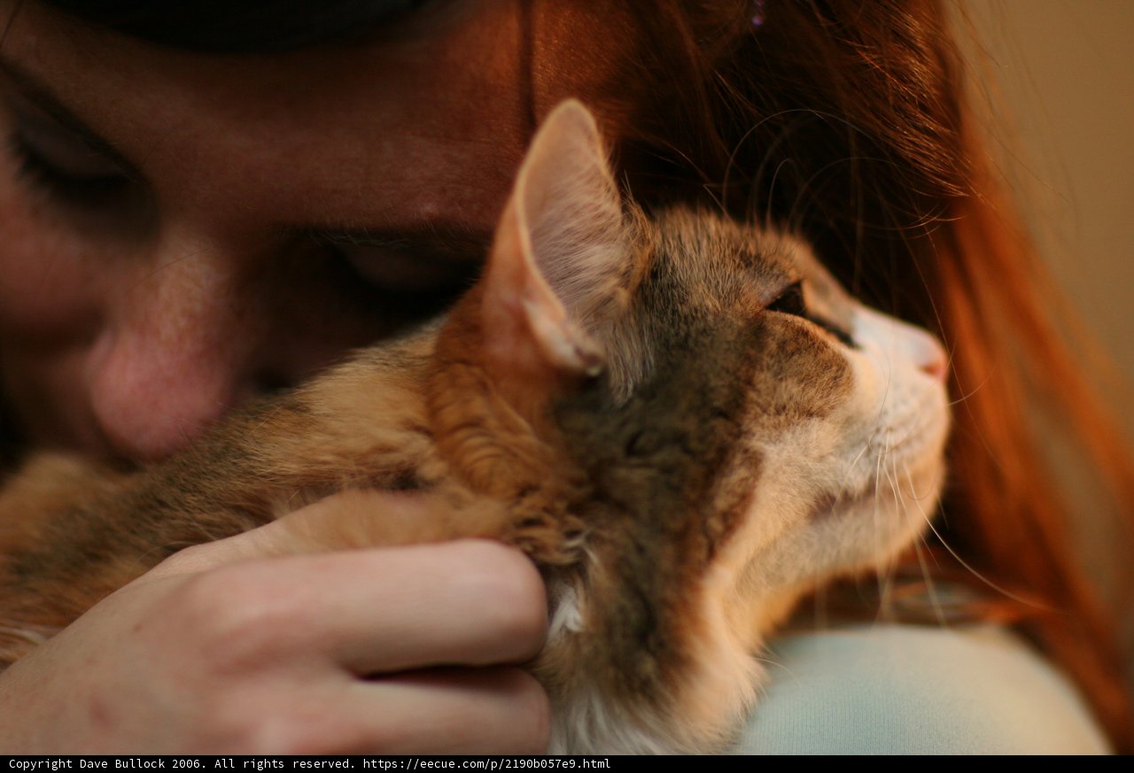 Woman Cuddling her Abyssinian Cat
