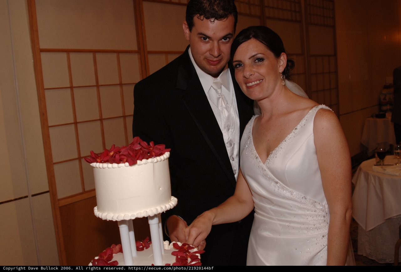 Bride and Groom Cut Wedding Cake Together