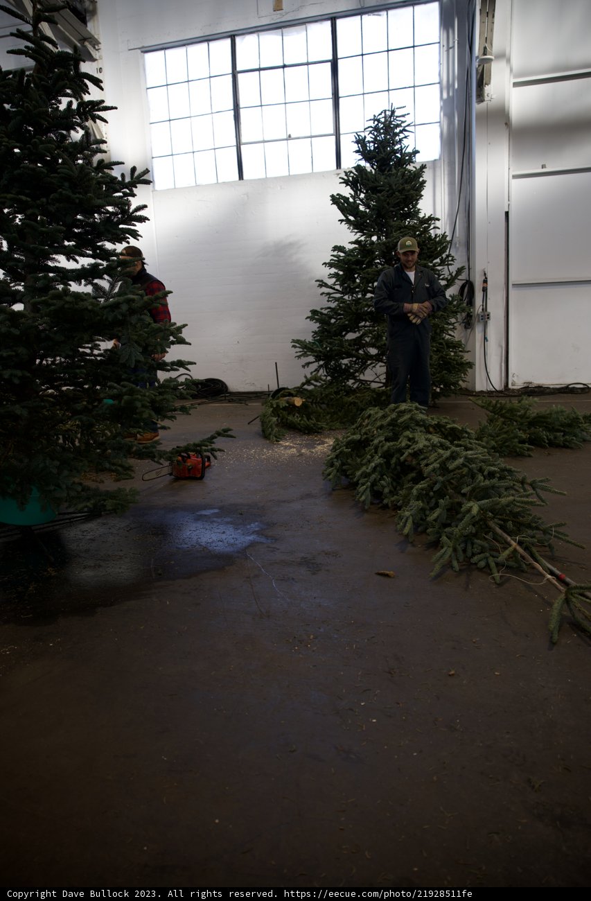 Harvesting the Holiday Spirit