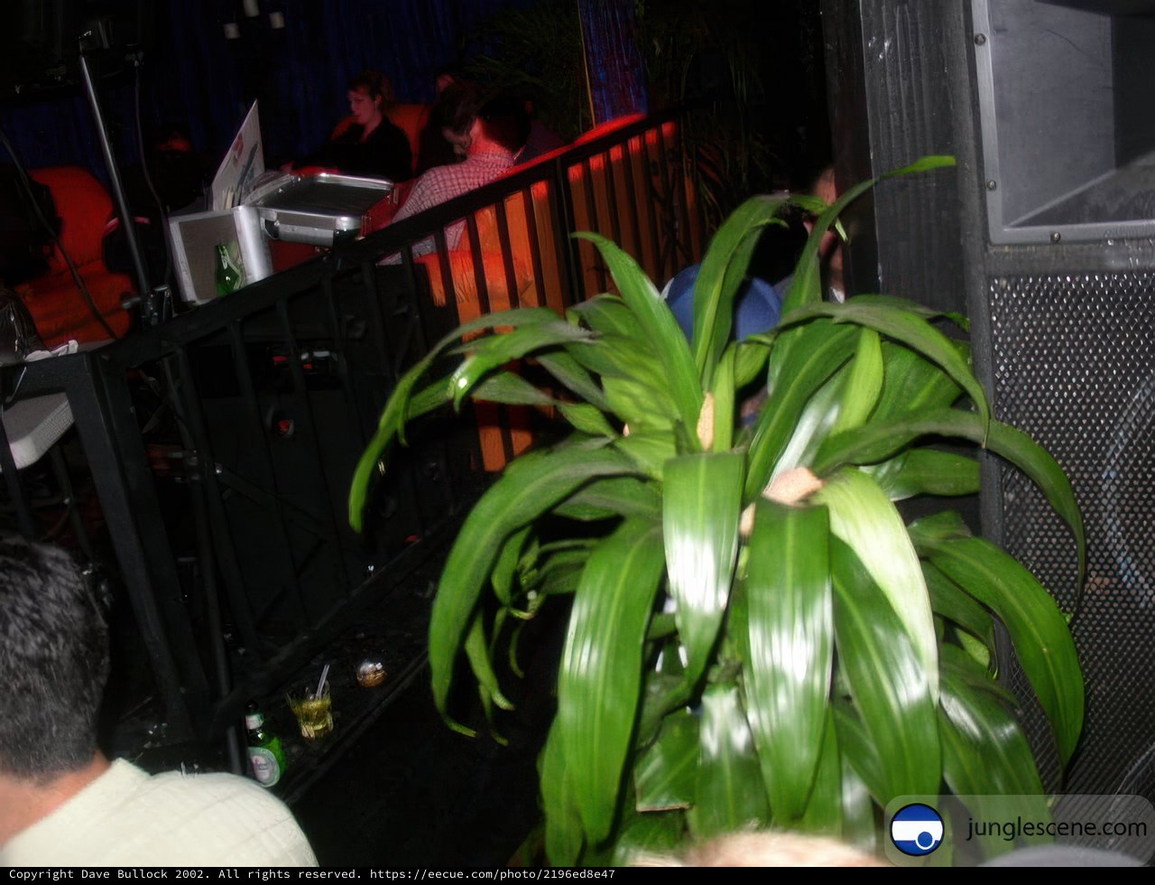 Gathering around the Potted Plant