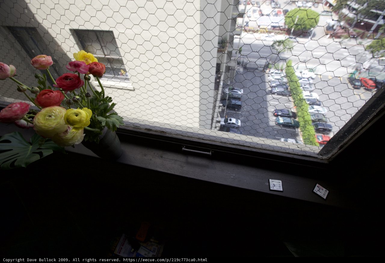 Window Flower Arrangement