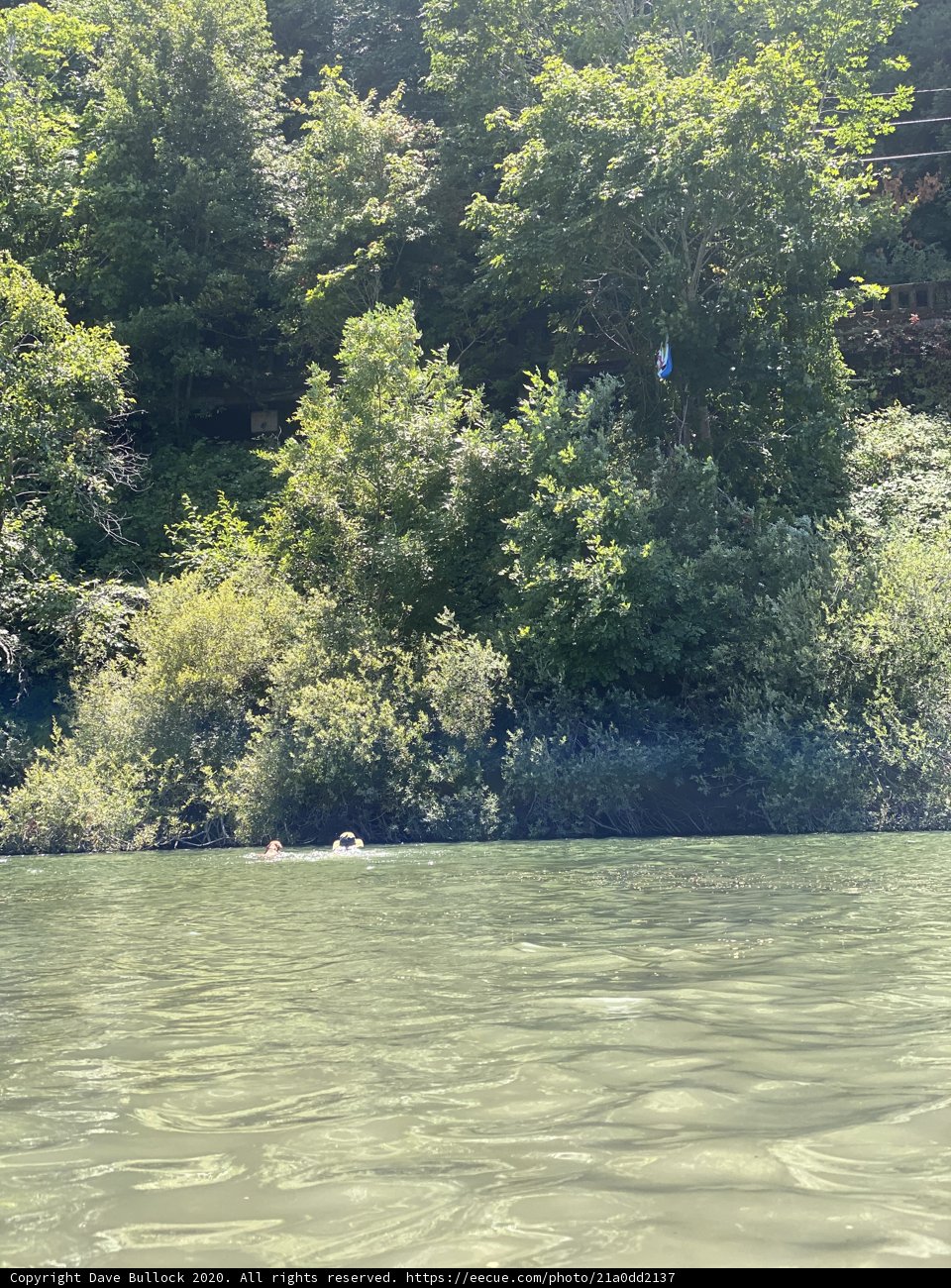 Serene Canoeing at Monte Rio Beach