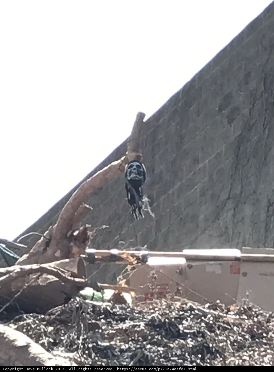 High Above the Ground
