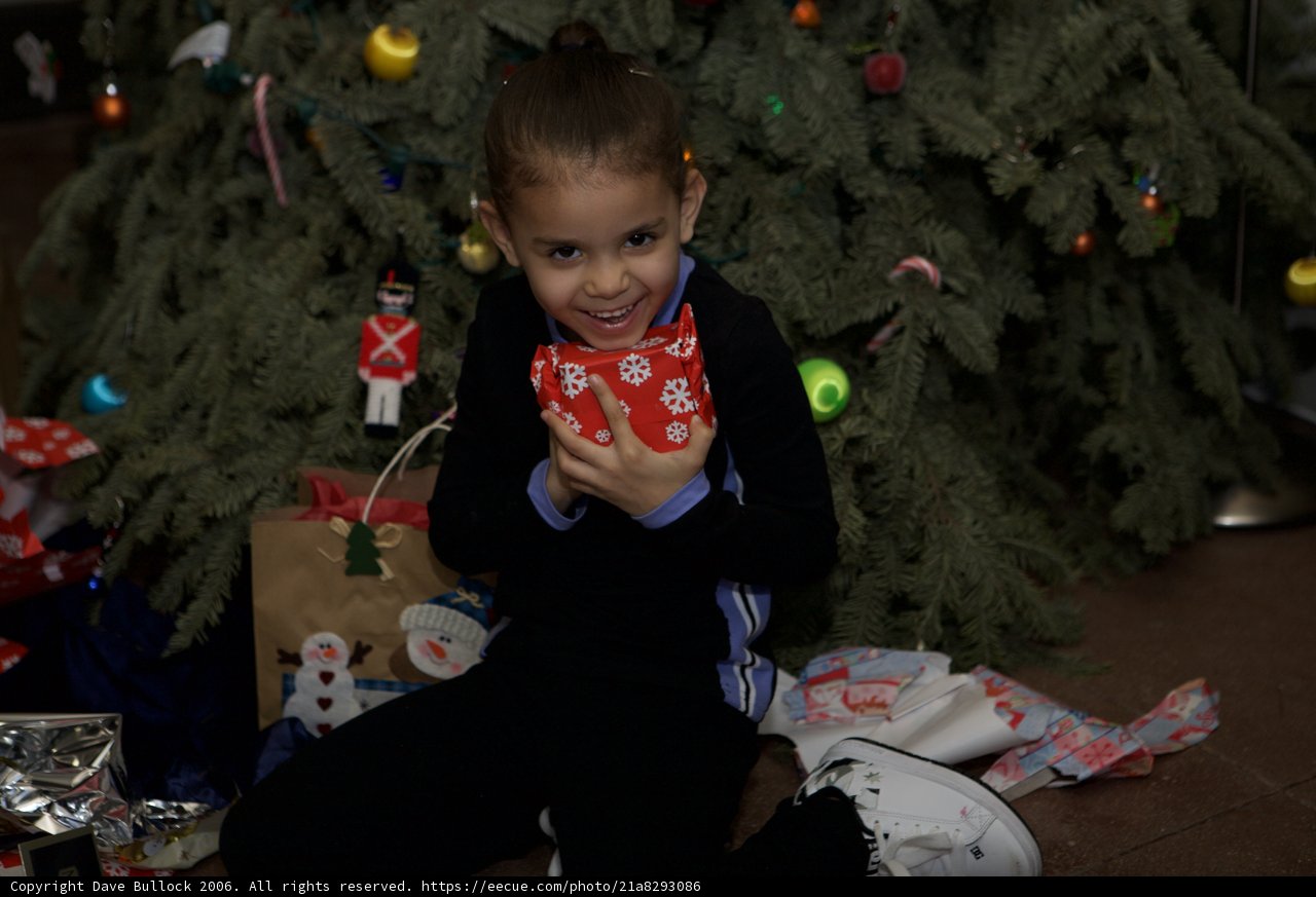 A Christmas Surprise