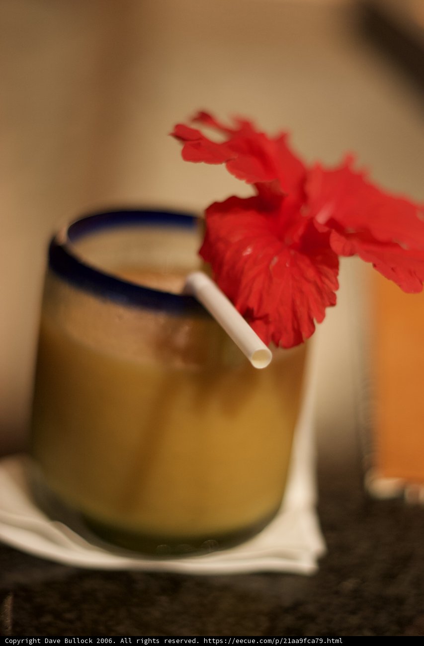 Floral Sipper