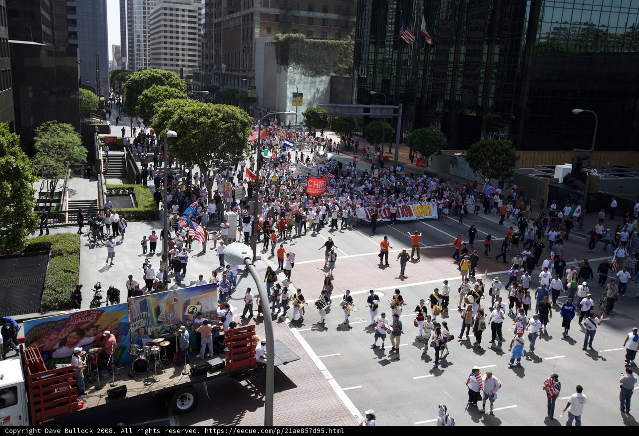 Protesters flood the streets of the Urban Metropolis