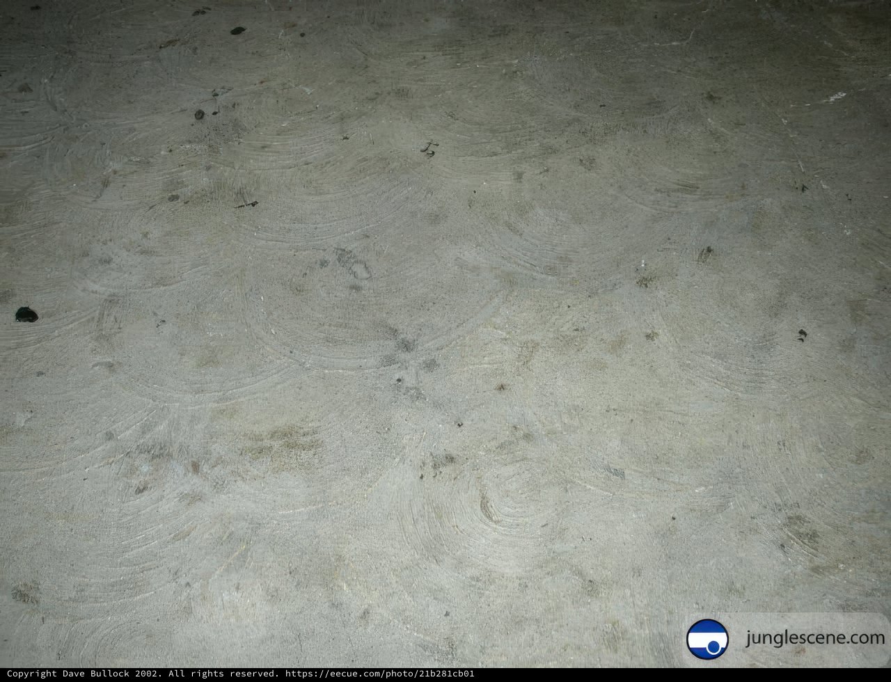 Weathered Flooring