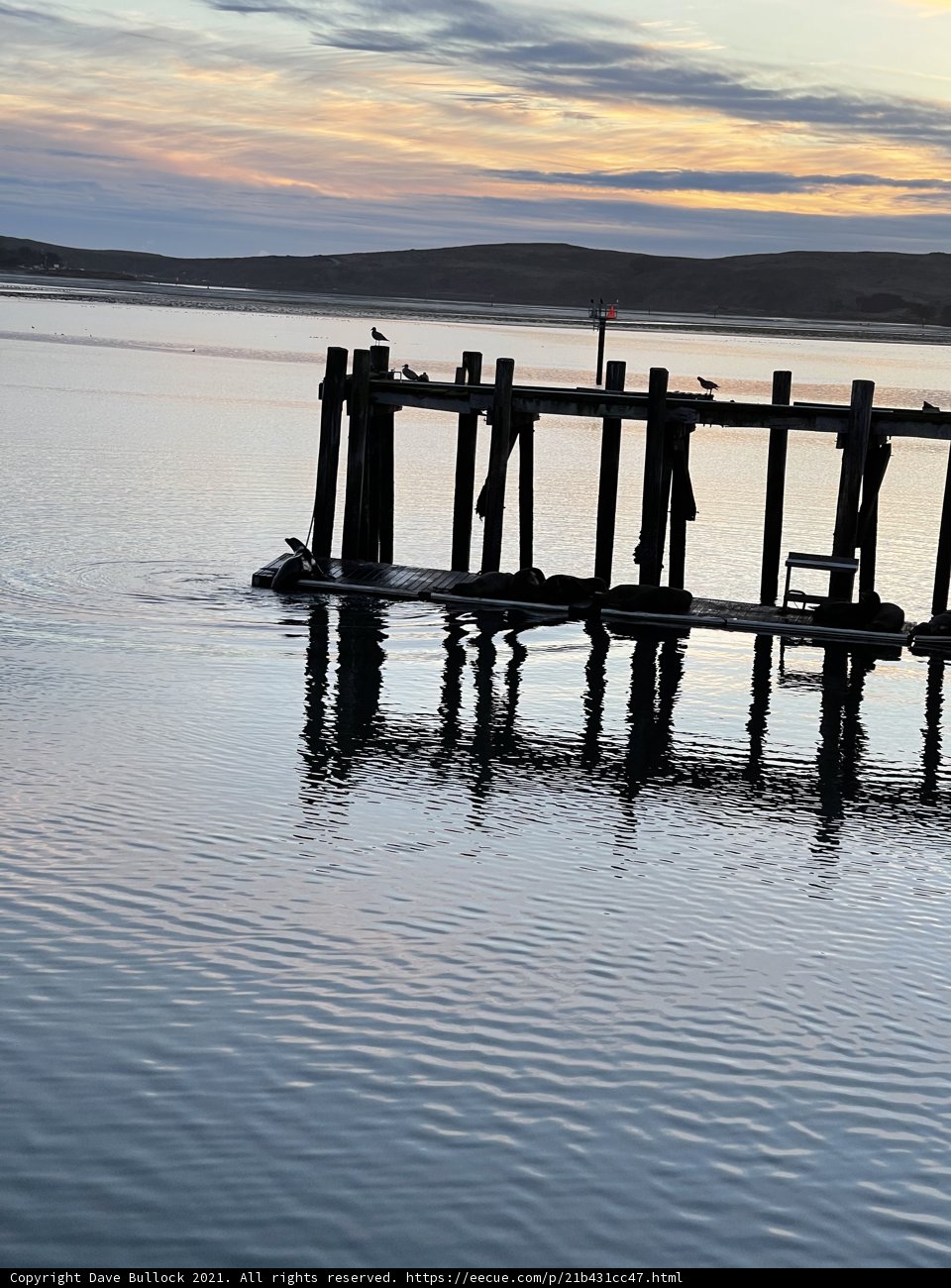 Serene Sunset at Bodega Harbor
