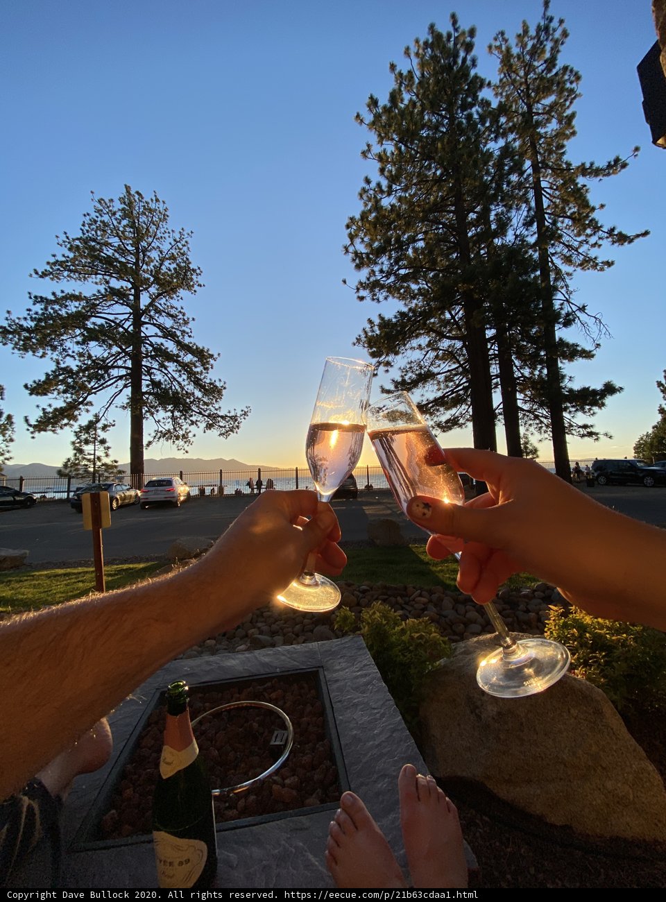 Sunset Champagne Toast in the Grove