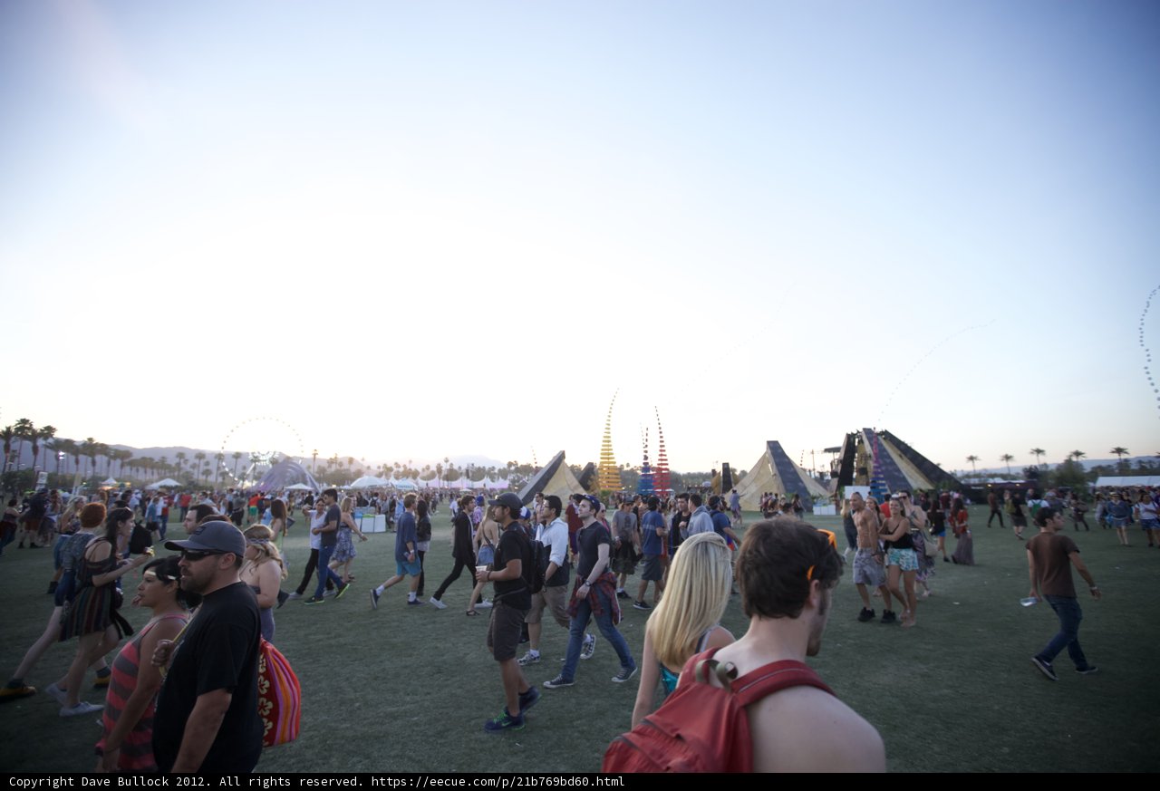 Festival Vibe