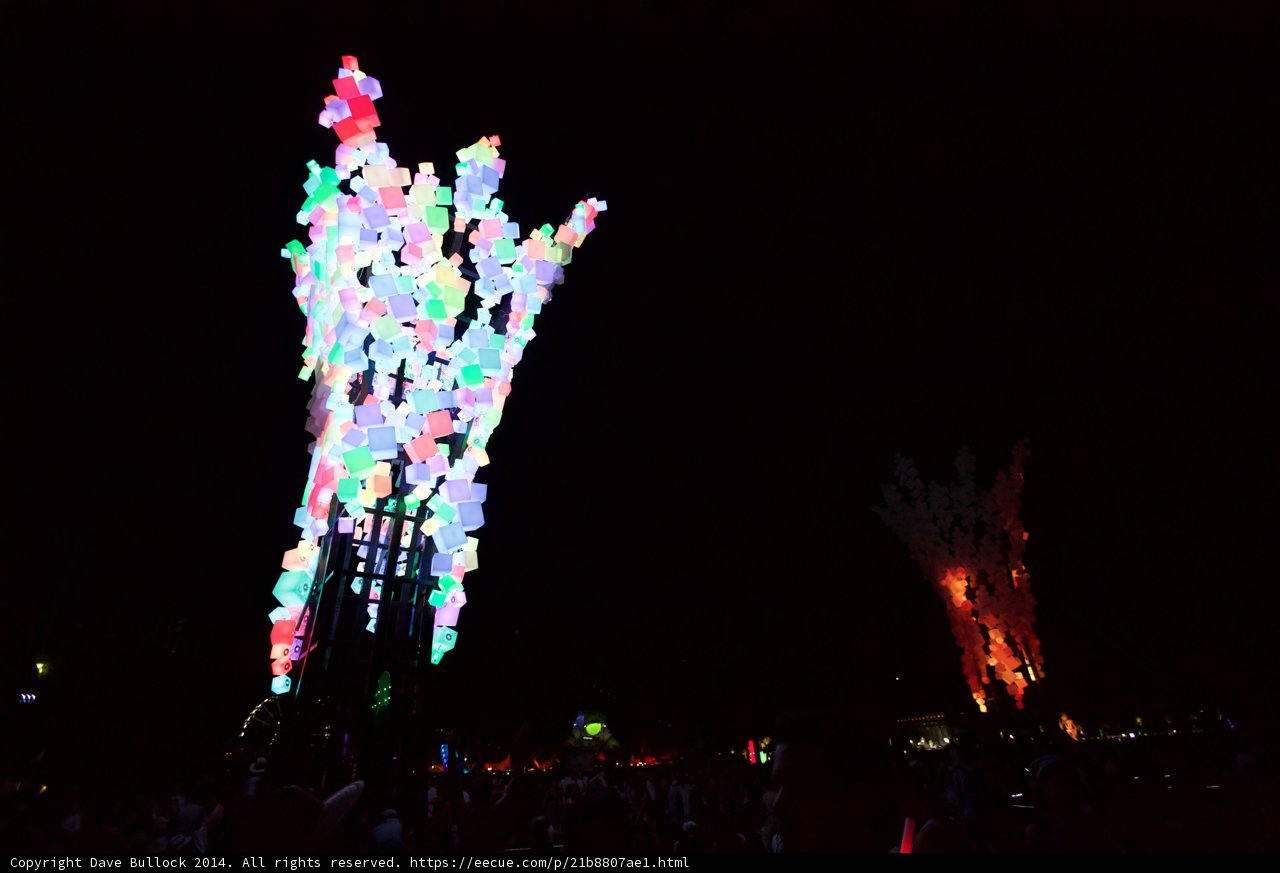 Illuminated Garden