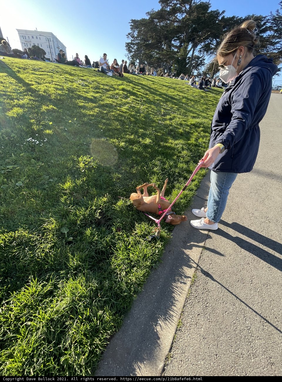A Lady and her Furry Friend