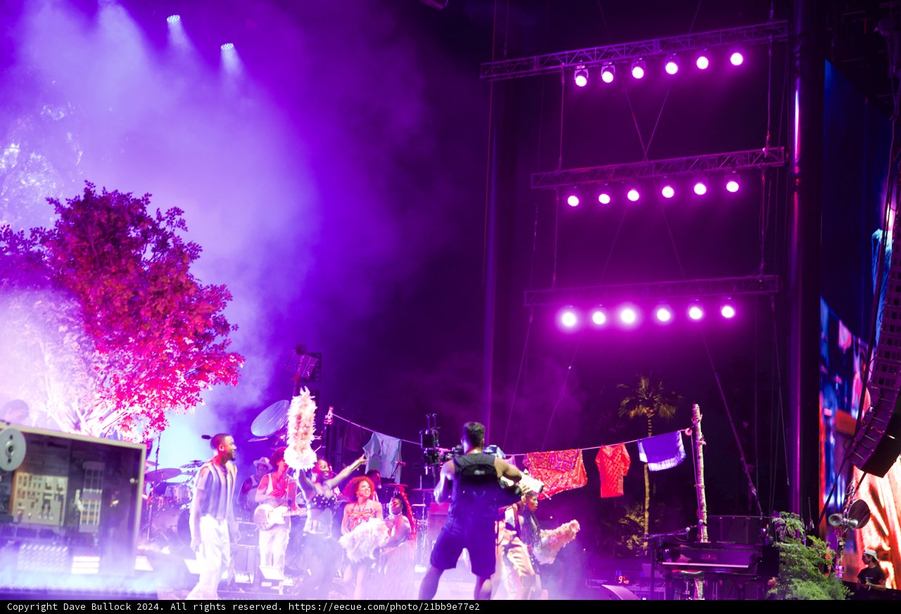 Electric Nights: Coachella 2024