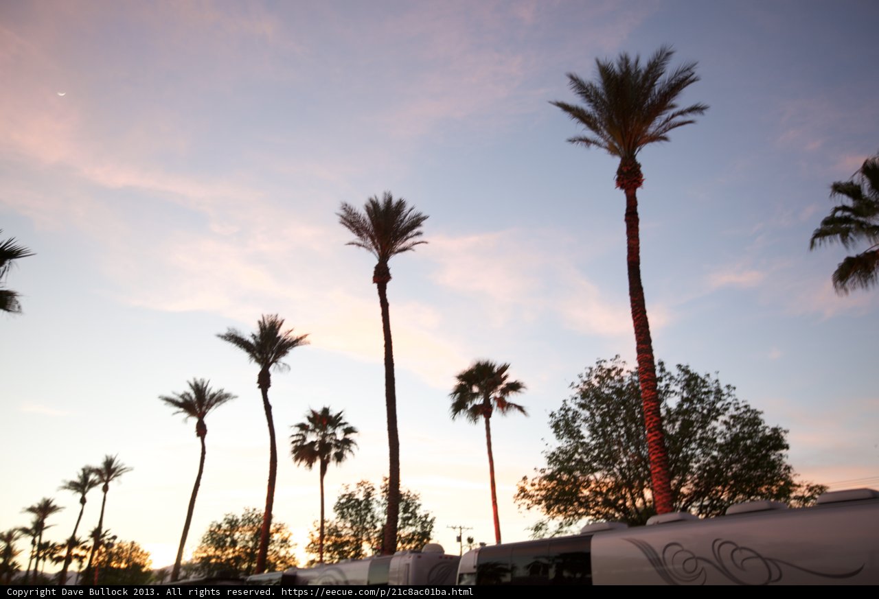 Sunset RVs and Palm Trees