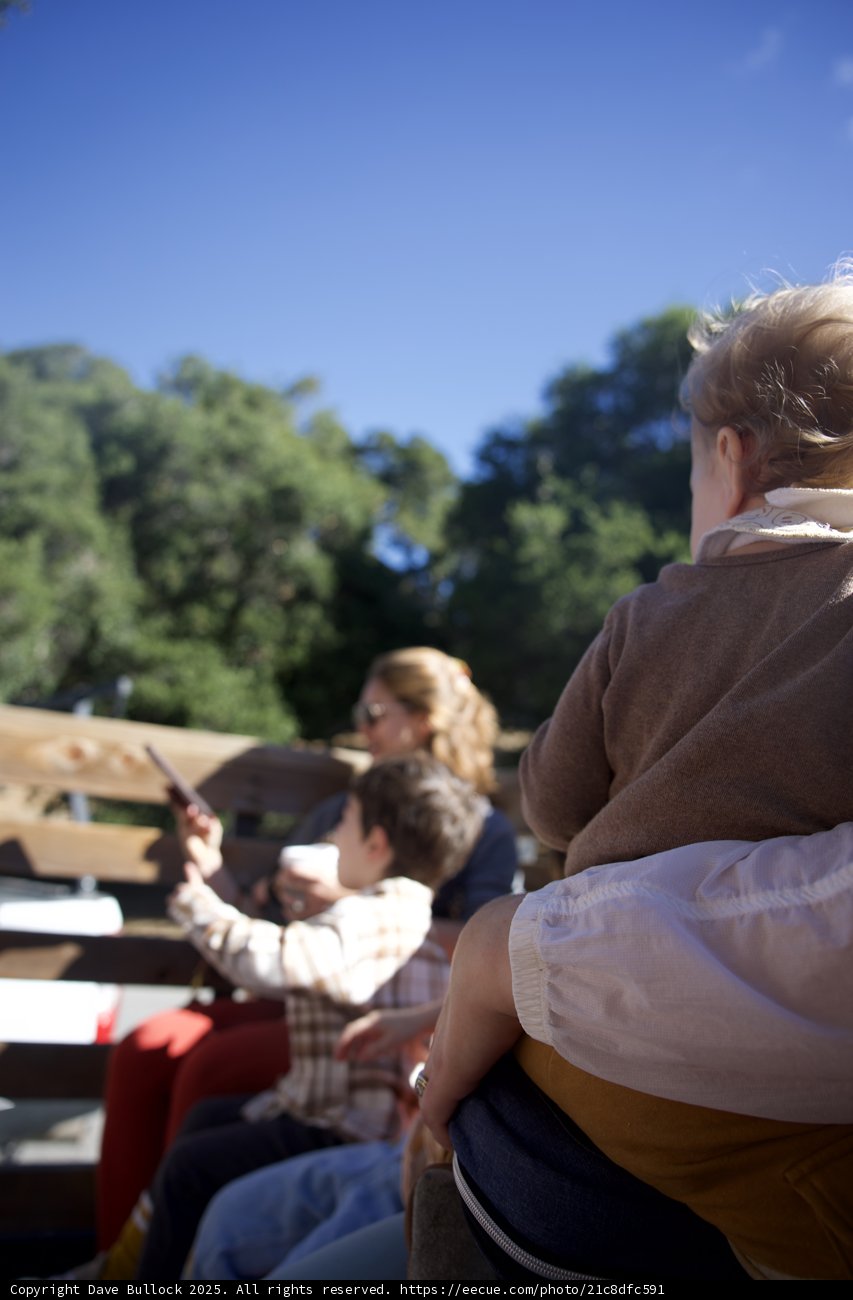 Sunny Day at Carmel Valley Ranch