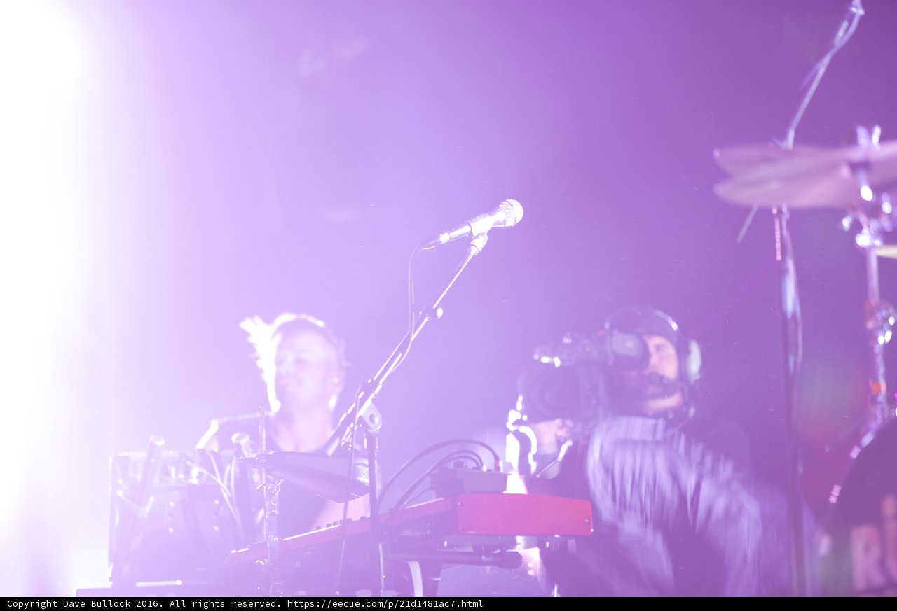 Rocking Out at Coachella