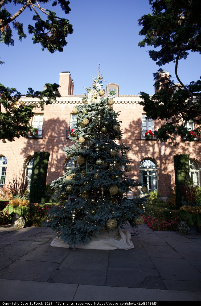 Festive Elegance at Filoli