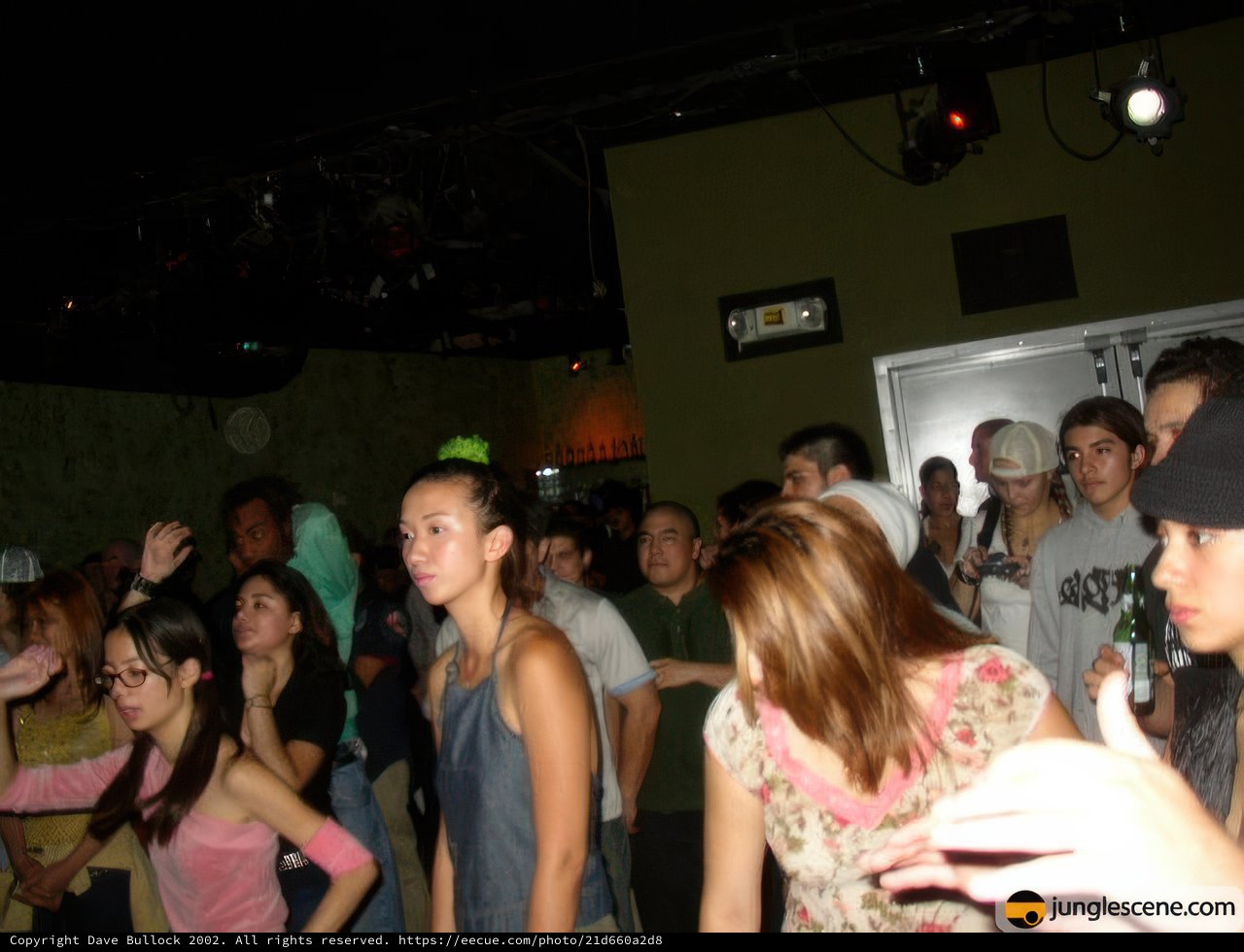 Nightclub Crowd