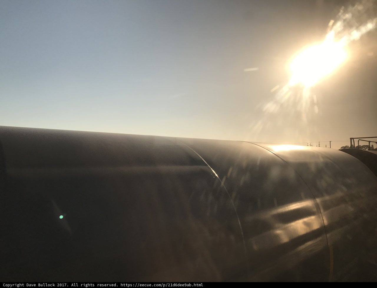Sun-Kissed Train