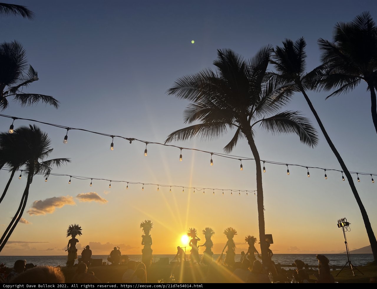 Tropical Sunset Gathering