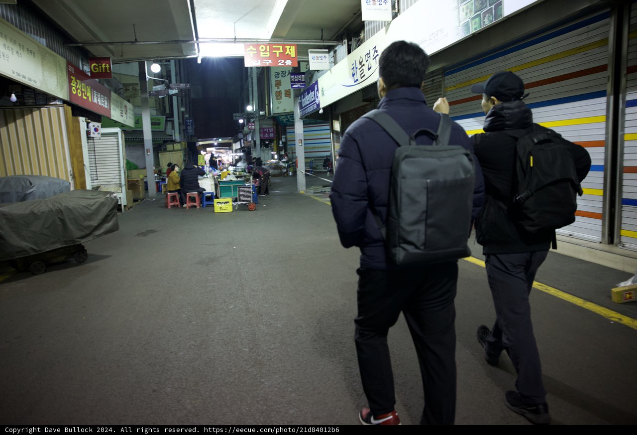 Night Wanderers in Korea