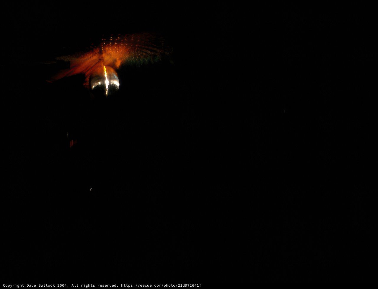 Flamingo in Spotlight