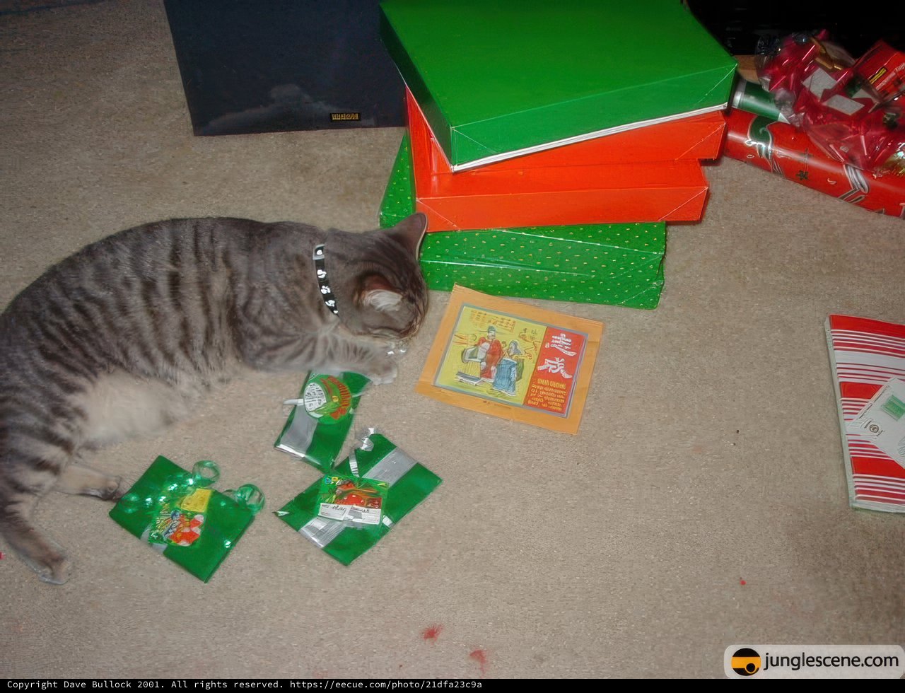 Purrfect Presents
