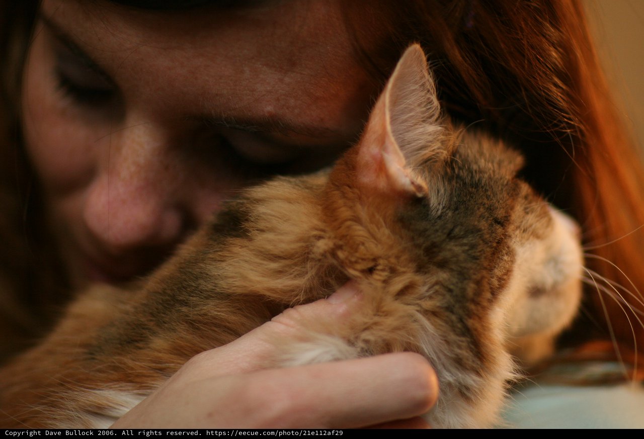 Tender Moment Between Woman and Ginger Cat