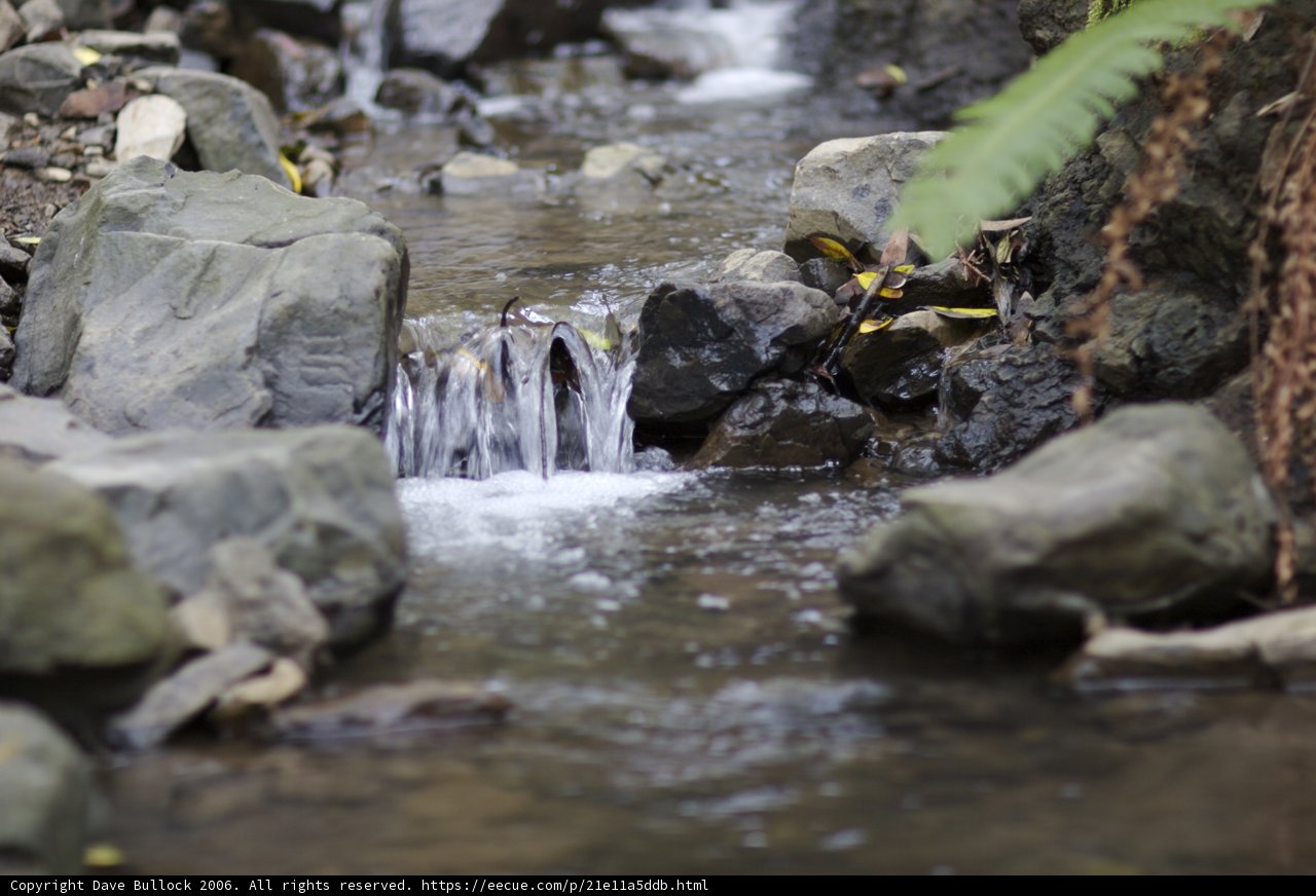 Serenity in Nature