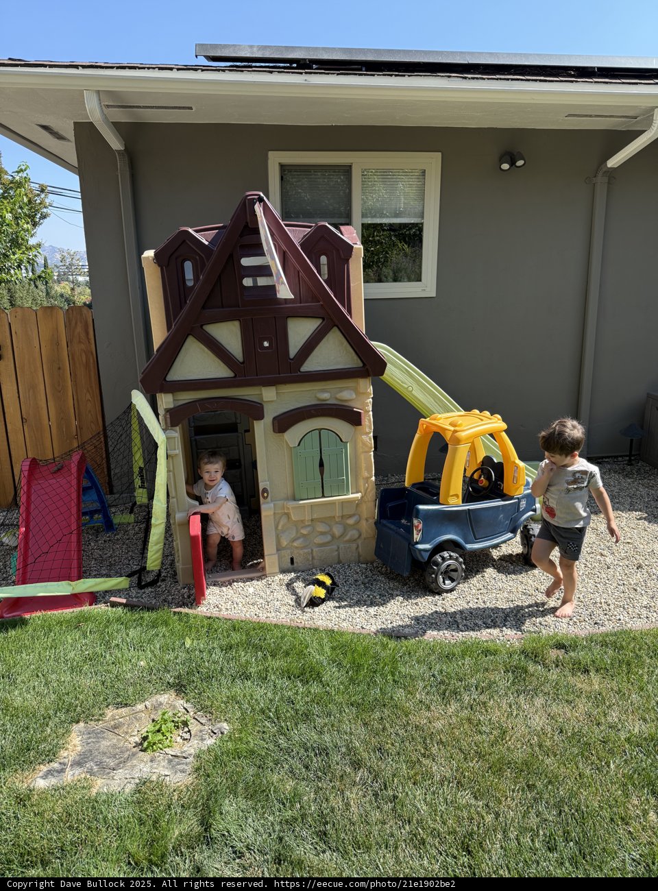 Backyard Playtime Adventure