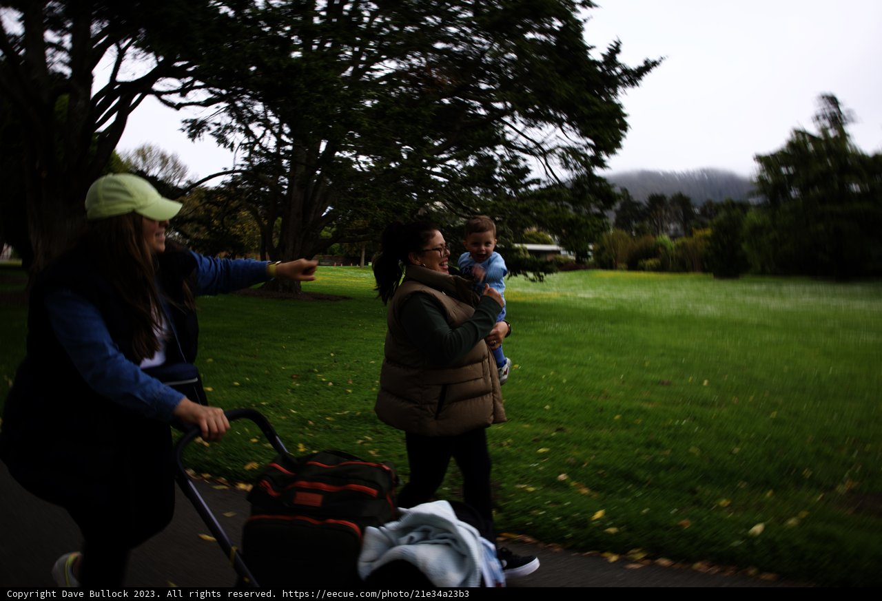 A Peaceful Stroll in the Botanical Garden